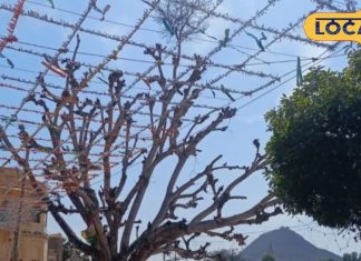 कम बजट में घूमने का है प्लान? पुष्कर बनेगा आपका परफेक्ट डेस्टिनेशन, मन मोह लेगी खूबसूरती और शांत जगहें