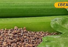 कमाल के हैं ये मामूली पत्ते..हड्डियों को बना देते हैं लोहे जैसा मजबूत, कमजोर शरीर में फूंक देते हैं जान – Uttar Pradesh News