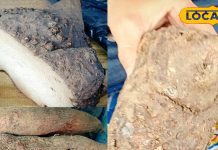 सर्दियों में कुछ ही दिन बाजार में नजर आती है यह सब्जी, सेहत के लिए है पावरहाउस, जानें क्यों है खास