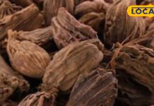 डिटॉक्स करने में माहिर! शरीर की गंदगी करे साफ किचन का यह मसाला, जानिए सीक्रेट हेल्थ बेनिफिट्स – Uttar Pradesh News