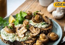 खुश होंगे पेट और दिल, घर पर बनाएं क्रीमी मशरूम टोस्ट, नहीं पड़ेगी कैफे जाने की जरूरत, नहीं बढ़ेगा बिल!