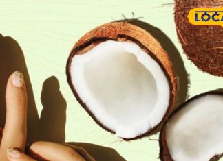 नारियल का तेल देगा कुदरती चमक, चेहरे पर ऐसे लगाएं, सब पूछेंगे सॉफ्ट और ग्लोइंग स्किन का राज – Uttar Pradesh News