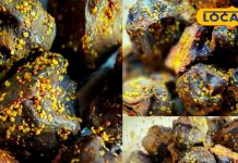 सर्दियों में भरतपुर का सिंघाड़े का अचार: स्वादिष्ट और सेहतमंद रेसिपी