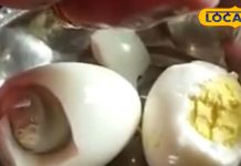 ठंड में बढ़ी अंडों की डिमांड, बाजार में नकली बिकने लगे, ऐसे करें असली देसी अंडे की पहचान