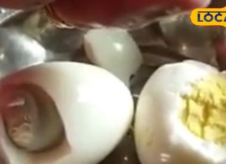 ठंड में बढ़ी अंडों की डिमांड, बाजार में नकली बिकने लगे, ऐसे करें असली देसी अंडे की पहचान