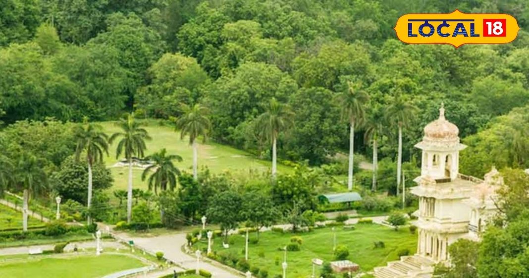 Udaipur Gulab Bagh Picnic Spot | Winter Tourism Udaipur | Udaipur Family Picnic Place | Rajasthan Winter Travel | Kids Picnic Spot Udaipur