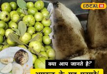 डॉक्टर भी हैरान! भुने अमरूद में ऐसा क्या है जो शरीर को रोगों से स्टील की ढाल देता है? – Bharat.one हिंदी