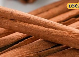 Ayurvedic Spice Benefits | Wooden Spice Kadha | Immunity Boosting Herbs | Powerful Ayurvedic Remedies | Natural Energy Booster | Herbal Kadha Recipe | Ayurveda Health Tips