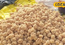 न तेल, न घी, न शक्कर, फिर भी बेहद स्वादिष्ट होता है ये देसी लड्डू, ठंड में जोरदार डिमांड, दाम बहुत कम