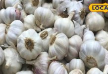 Lahsun Recipes | Garlic Cooking Tips | Easy Garlic Dishes | Healthy Garlic Recipes