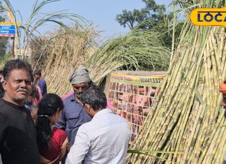 Hazaribag Narsingh Mandir: 450 साल पुराना झारखंड का चमत्कारी मंदिर, यहां हर किसान बेचते हैं गन्ना, जानें परंपरा