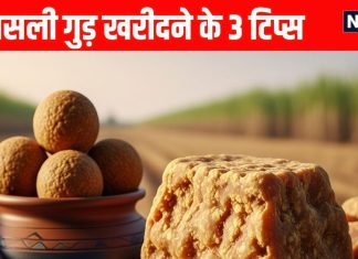 3 Tips to buy real Jaggery or gud: असली गुड़ खरीदने के 3 टिप्स