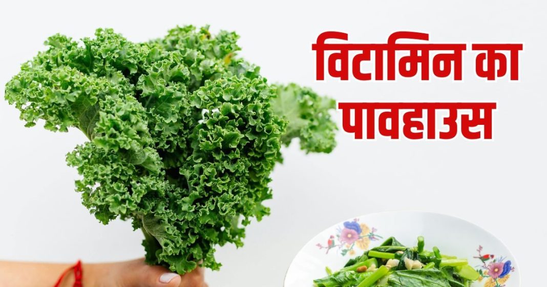 November Vegetables Kale Benefits: नवंबर में केल साग खाने के फायदे