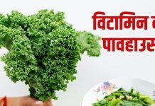 November Vegetables Kale Benefits: नवंबर में केल साग खाने के फायदे