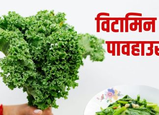 November Vegetables Kale Benefits: नवंबर में केल साग खाने के फायदे