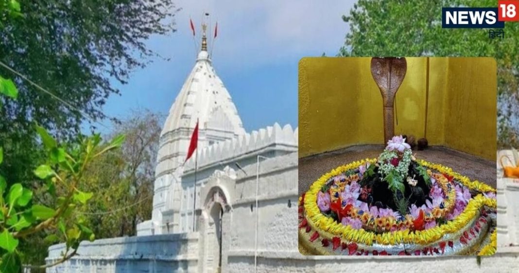 Special things about Lakshmaneshwar Mahadev Mandir of Raipur know History | रायपुर का लक्ष्मणेश्वर महादेव मंदिर
