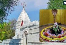 Special things about Lakshmaneshwar Mahadev Mandir of Raipur know History | रायपुर का लक्ष्मणेश्वर महादेव मंदिर