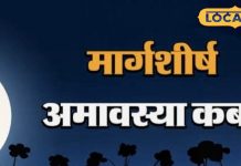 Margashirsha Amavasya: 19 या 20 नवंबर, कब मनाई जाएगी मार्गशीर्ष अमावस्या? उज्जैन के आचार्य से जानें सही तिथि
