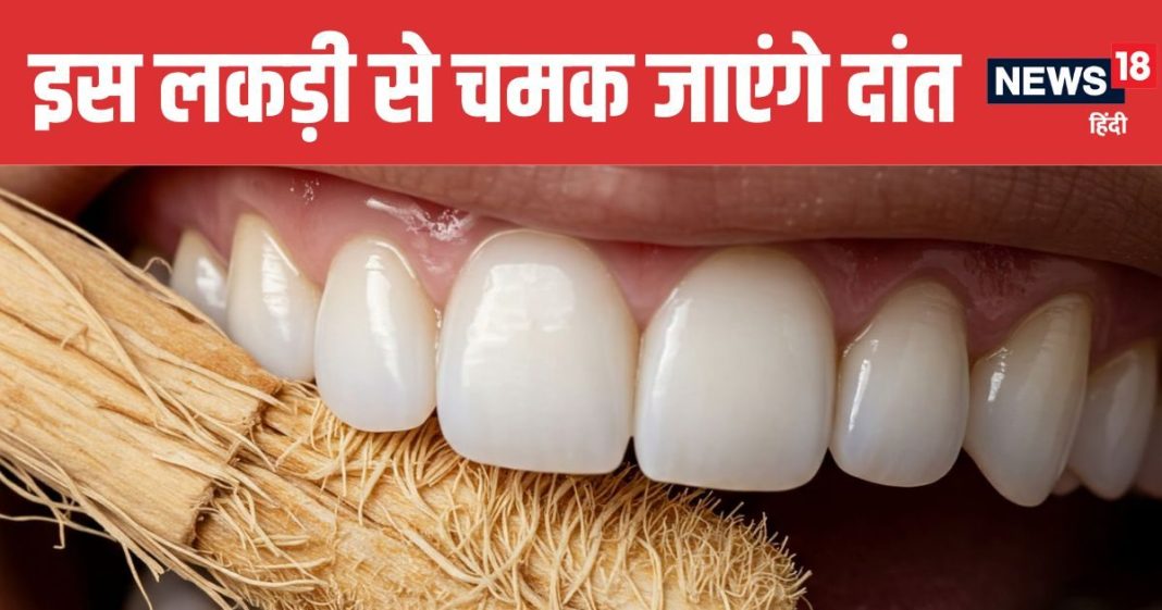 Miswak is Ancient Toothbrush for Stain Free Teeth and Healthy Gums | 5000 साल पुरानी लकड़ी मिस्वाक दांतों का पीलापन मिनटों में कर सकती है दूर