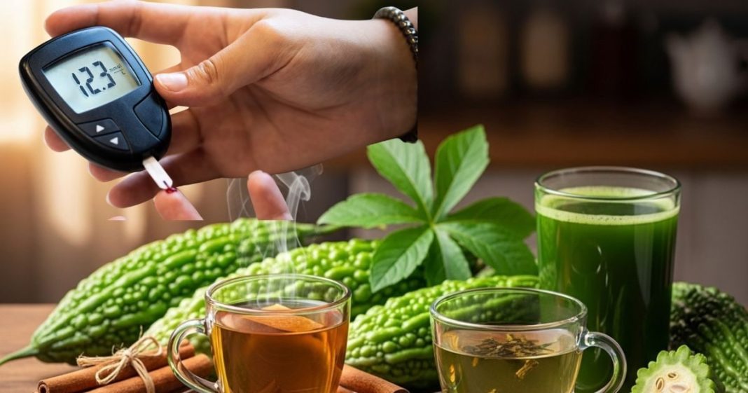 डायबिटीज को औंधे मुंह गिरा सकते हैं ये 5 नेचुरल ड्रिंक्स, दिन में एक भी पी लिया तो समझिए बेड़ा पार, आजमा के देख लीजिए