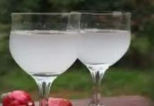 Feni: वो दारू जो कभी थी दर्द मिटाने की दवा, कैसे बन गई गोवा की फेवरेट ड्रिंक