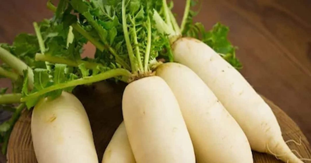 सर्दियों में मूली खाने के फायदे: पाचन और इम्यूनिटी बढ़ाए