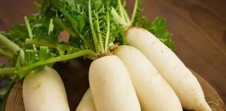 सर्दियों में मूली खाने के फायदे: पाचन और इम्यूनिटी बढ़ाए