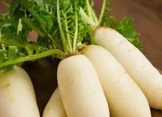 सर्दियों में मूली खाने के फायदे: पाचन और इम्यूनिटी बढ़ाए