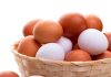 ब्राउन बनाम व्हाइट अंडे: सेहत के लिए कौन सा है बेहतर?