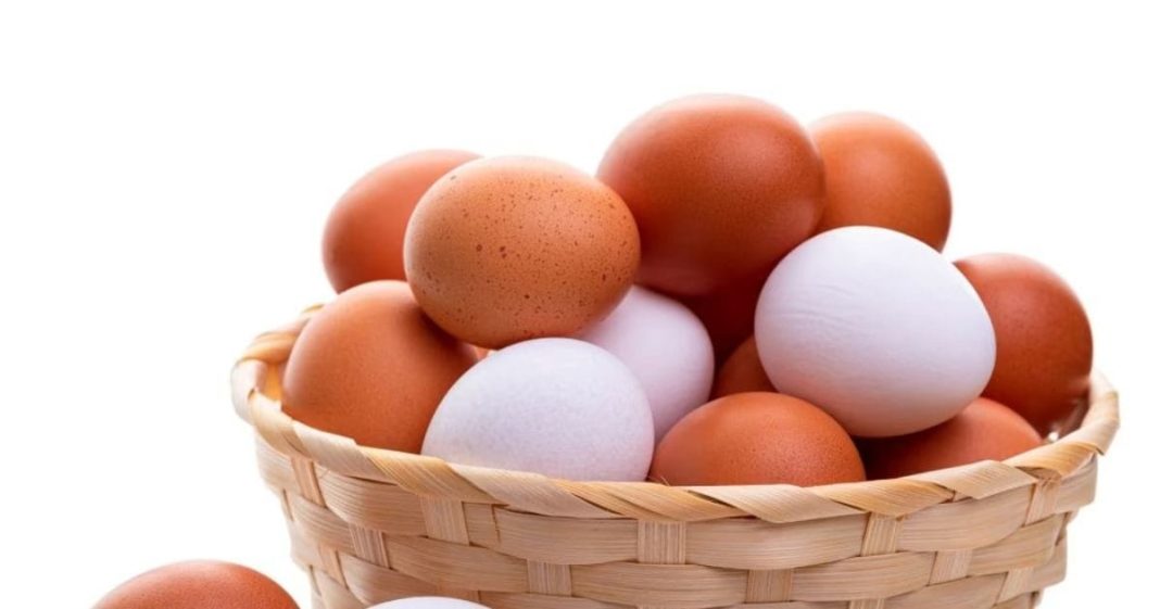 ब्राउन बनाम व्हाइट अंडे: सेहत के लिए कौन सा है बेहतर?