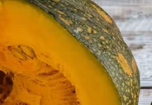 कद्दू खाने के 8 बड़े फायदे जानें, सेहत के लिए क्यों है फायदेमंद.