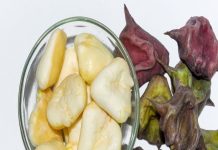 सिंघाड़ा खाने के फायदे: वजन घटाने से इम्यूनिटी तक सेहत के लिए लाभ