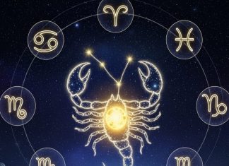 Shukra Gochar November 2025 positive zodiac impact | venus transit in vrishchik rashi horoscope prediction november 2025 | shukra rashi Parivartan November 2025 horoscope | वृश्चिक में शुक्र गोचर का राशियों पर सकारात्मक प्रभाव