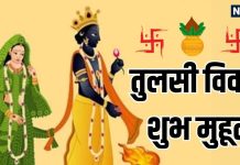 Tulsi Vivah 2025 Shubh Muhurat | tulsi shaligram vivah ka shubh muhurt | Tulsi Vivah 2025 shubh yog | तुलसी विवाह का शुभ मुहूर्त | 4 शुभ योग में तुलसी विवाह