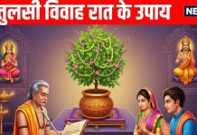 Tulsi Vivah 2025 Upay for dhan labh | Tulsi Vivah ki raat kare ye totake | Tulsi Vivah 2025 Astro Remedies | तुलसी विवाह के लिए करें ये ज्योतिष उपाय