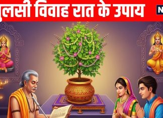 Tulsi Vivah 2025 Upay for dhan labh | Tulsi Vivah ki raat kare ye totake | Tulsi Vivah 2025 Astro Remedies | तुलसी विवाह के लिए करें ये ज्योतिष उपाय
