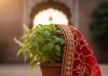 Tulsi Vivah date 2025। क्यों तुलसी माँ को नहीं चढ़ाएं लाला चुनरी ?