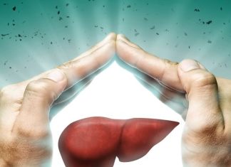 Health Tips: लिवर की सेहत ठीक रखने के लिए संजीवनी हैं चीजें, जानिए कैसे करना है सेवन