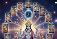 Utpanna Ekadashi Tarot Card Horoscope 2025 | 15 november 2025 tarot zodiac predictions about 5 zodiac signs | उत्पन्ना एकादशी का टैरो राशिफल 2025 | उत्पन्ना एकादशी 5 राशियों के लिए शुभ