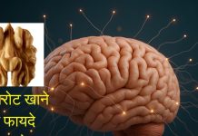 рдбреЙ. Chaitali Rathod рдХреЗ рдЕрдиреБрд╕рд╛рд░ рдЕрдЦрд░реЛрдЯ рдЦрд╛рдиреЗ рдХреЗ рдлрд╛рдпрджреЗ рддреНрд╡рдЪрд╛, рдиреАрдВрдж, рдлрд░реНрдЯрд┐рд▓рд┐рдЯреА