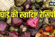 Water Chestnut Recipes: पानी फल यानी सर्दियों का सुपरफूड! बढ़ाता है एनर्जी, देता है भरपूर पोषण, ट्राई करें 5 टेस्टी रेसिपीज़