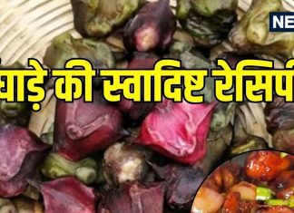 Water Chestnut Recipes: पानी फल यानी सर्दियों का सुपरफूड! बढ़ाता है एनर्जी, देता है भरपूर पोषण, ट्राई करें 5 टेस्टी रेसिपीज़
