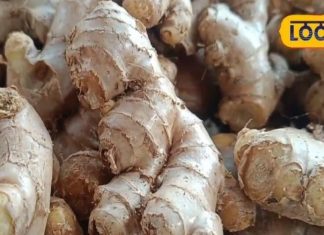 सिर्फ जायका ही नहीं, अदरक में छुपे हैं ऐसे औषधीय गुण जो बदल देंगे आपकी सेहत, जानें इस्तेमाल का तरीका – Uttar Pradesh News