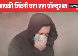 एयर पॉल्यूशन सिर्फ फेफड़े ही नहीं कर रहा बर्बाद, आपकी जिंदगी भी घटा रहा, एक्सपर्ट से जानें बचाव के तरीके
