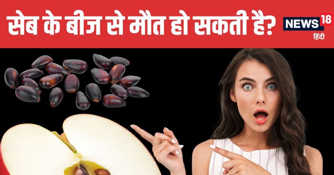 Do Apple Seeds Contain Poison Here is the Truth by Science | क्या सेब के बीजों में सच में जहर होता है