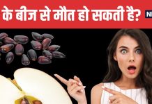 Do Apple Seeds Contain Poison Here is the Truth by Science | क्या सेब के बीजों में सच में जहर होता है