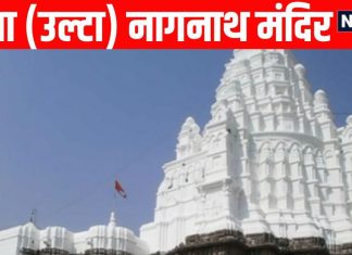 Shri Nageshwar Jyotirling Aundha Nagnath A unique confluence of Hindu Sikh faith | भगवान शिव के इस ज्योतिर्लिंग में हिंदू-सिख आस्था का अनोखा संगम, पांडवों ने की थी मंदिर की स्थाप