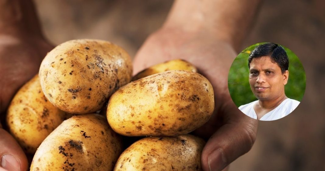 benefits of eating potatoes। दिन में कितना आलू खाना चाहिए