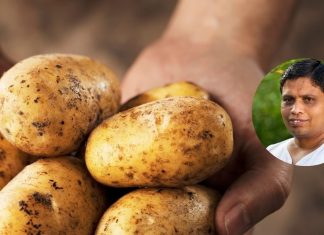 benefits of eating potatoes। दिन में कितना आलू खाना चाहिए