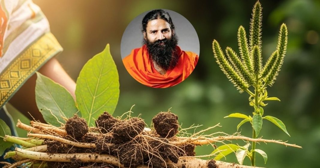 Natural remedy for tooth pain। दांत दर्द का घरेलू उपाय